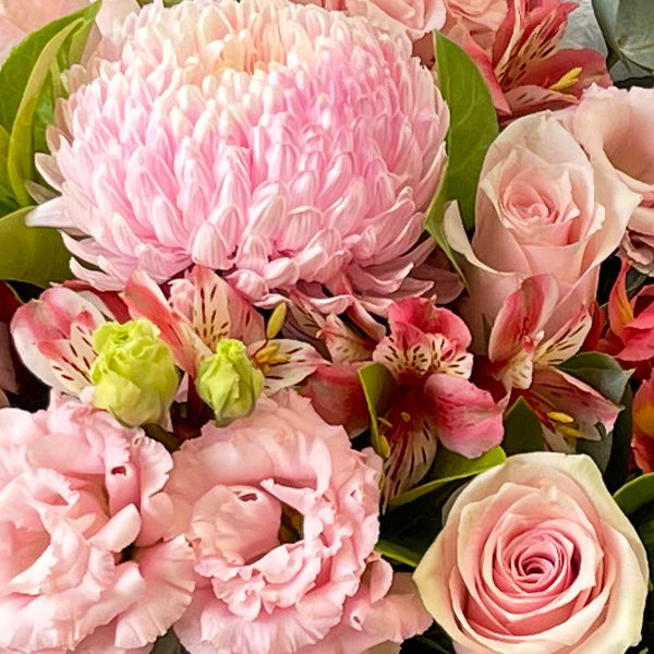 Pretty in Pink